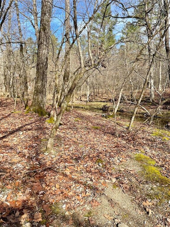 750 Timber Creek Trails South XI, Broken Bow, OK 74728 - photo 3