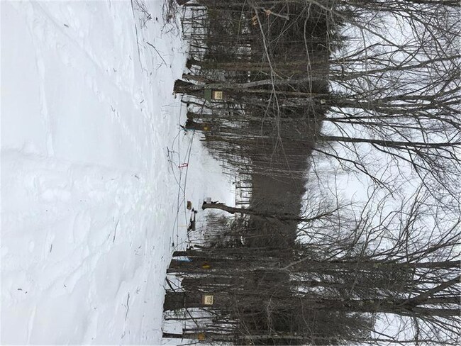 200 Abbott Pond Rd, Sumner, ME 04220 - photo 4