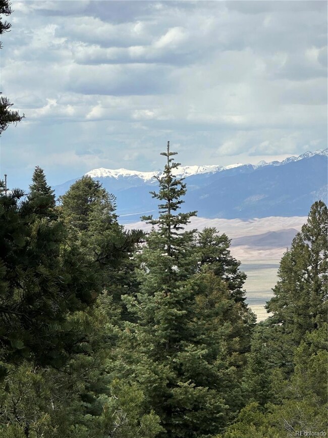 0 Tbd unit REC8471834, Mosca, CO 81146 - photo 4