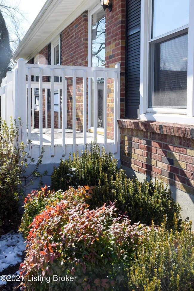 5506 Mosswood Lane-6