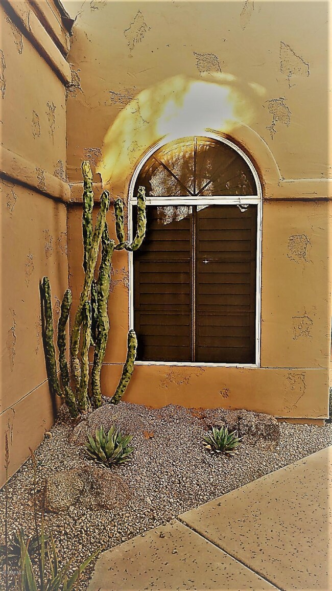 Cactus at entry way