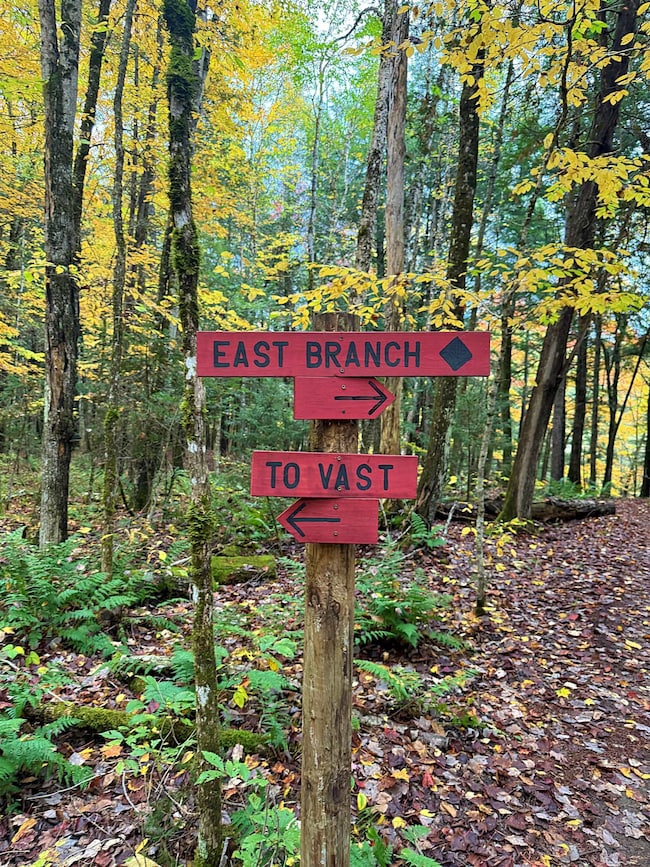 000 Darling Hill Rd, Lyndon, VT 05851 - photo 4