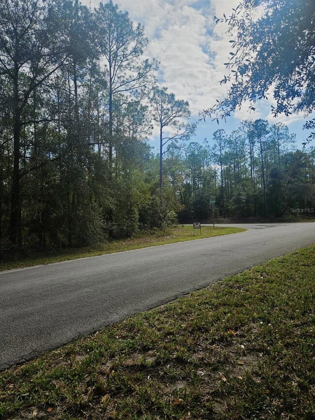 0 SW 206th Court Rd, Dunnellon, FL 34431 - photo 5