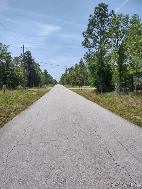 0000 SW Bonable Dr, Dunnellon, FL 34431 - photo 2