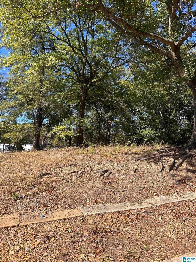 1214 21st Place N unit 54 55, Birmingham, AL 35234 - photo 4