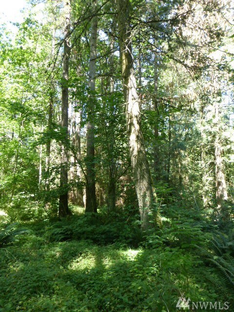 59 Noon Rd, Bellingham, WA 98226 - photo 6