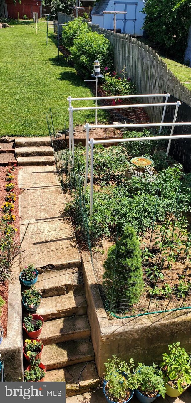 232 E Franklin St, Hagerstown, MD 21740 - photo 7