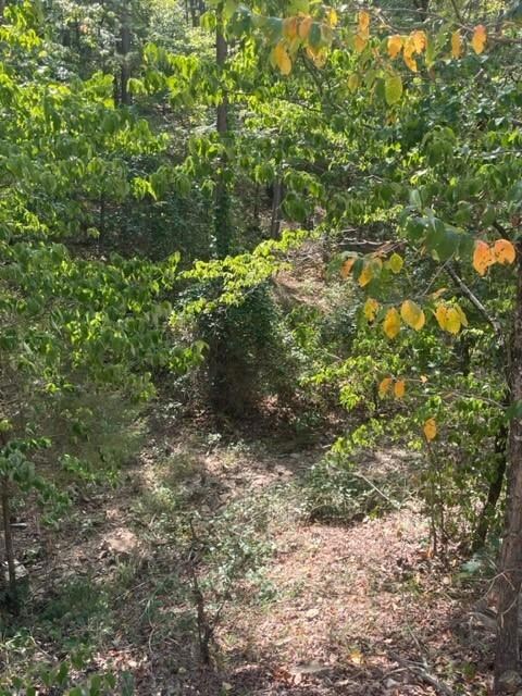 132 Western Cedar Trail, Hochatown, OK 74728 - photo 7