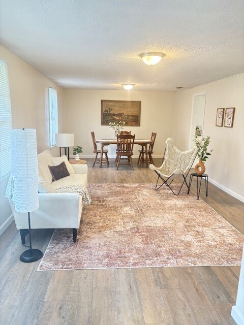Living Room/Dining Room Combo