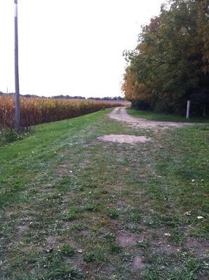 15249 1650 North Ave, Princeton, IL 61356 - photo 6