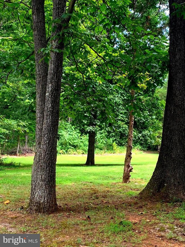 2085 Crums Church Rd, Berryville, VA 22611 - photo 7