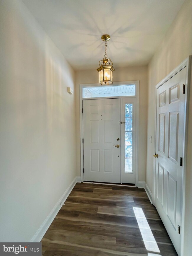 308 Lynn Dr, Stephens City, VA 22655 - photo 4