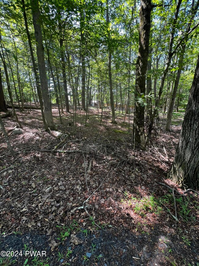 0 Westfall Drive Wild Acres unit PWBPW242293, Dingmans Ferry, PA 18328 - photo 4
