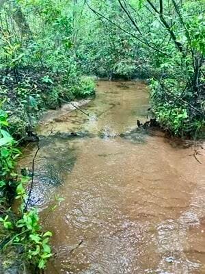 Lot 1 3 Notch Rd, Monetta, SC 29105 - photo 4