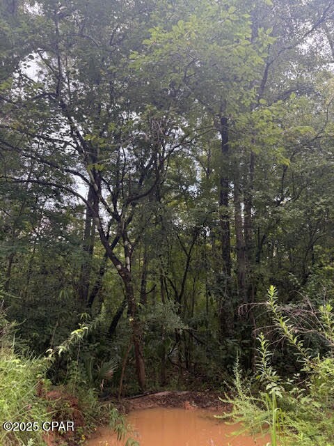 0 Pt Milligan Rd unit 778755, Quincy, FL o - photo 7