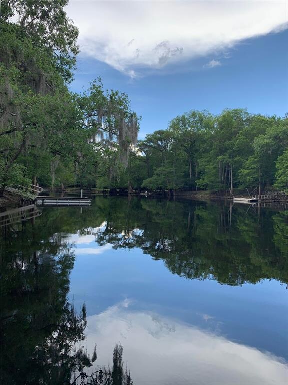 898 SW Santa fe Dr, Fort White, FL 32038 - photo 4