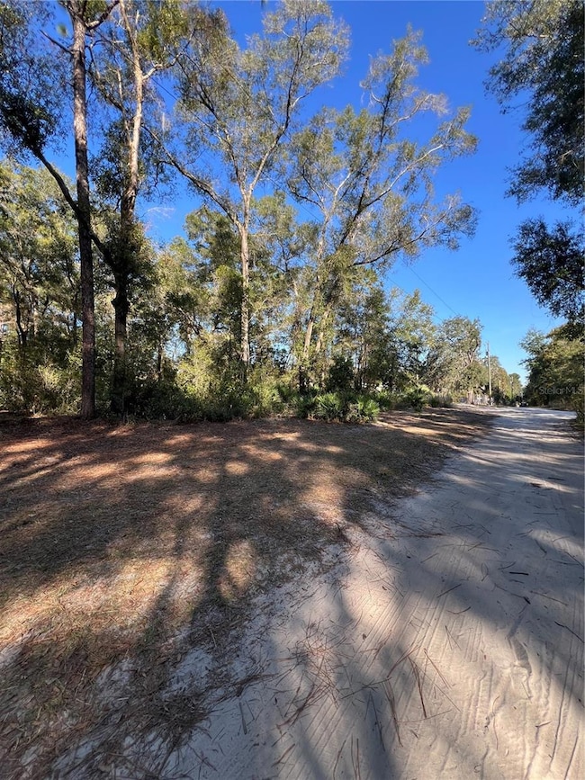 TBD SE 179th Place, Summerfield, FL 34491 - photo 2