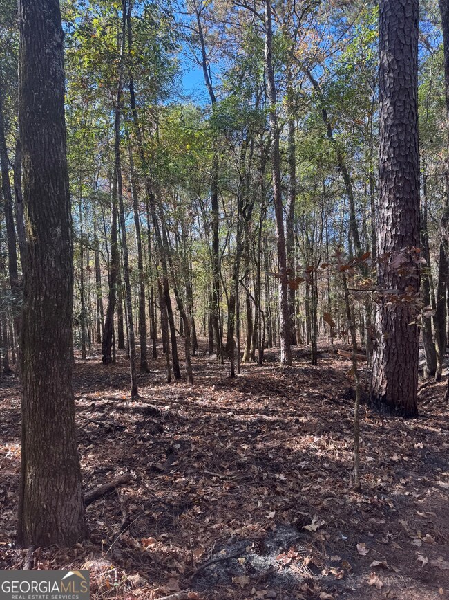 4523 Georgia 18, West Point, GA 31833 - photo 3