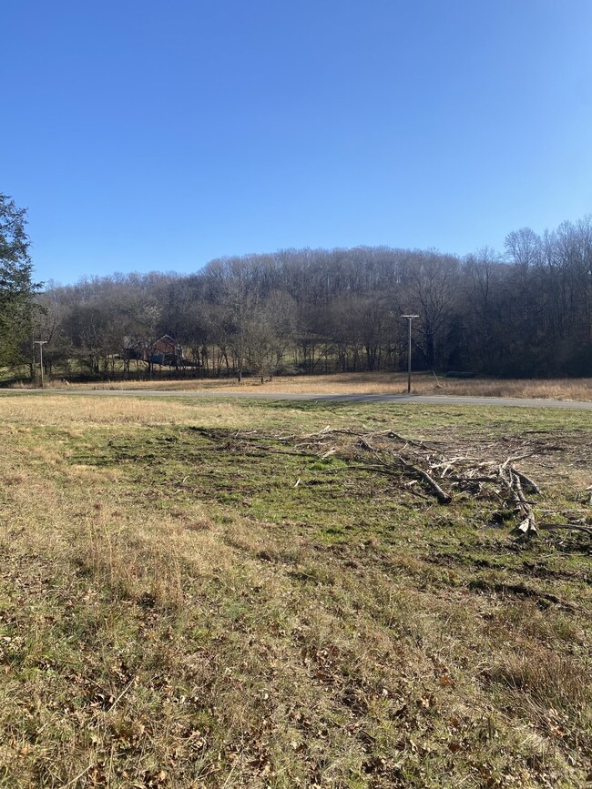 0 Scenic Dr unit RTC3059700, Pulaski, TN 38478 - photo 3