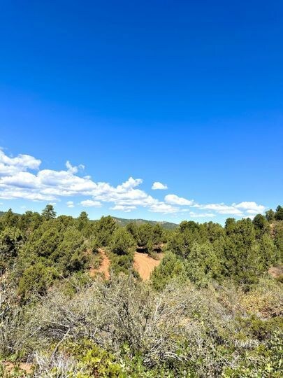 West North Corner of Road on Property