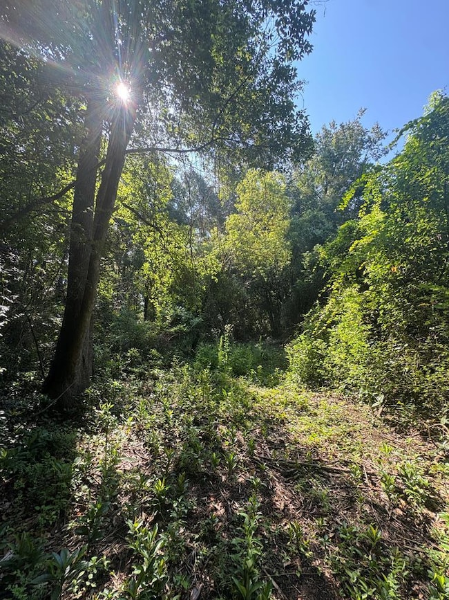 1511 N Dawson St, Thomasville, GA 31792 - photo 4