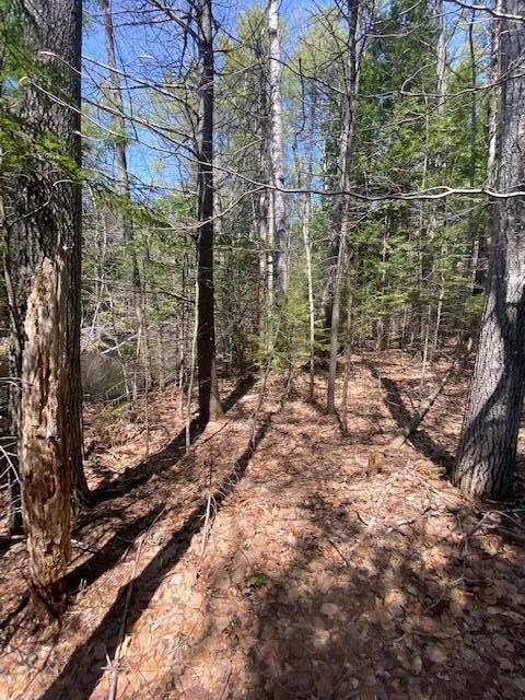Lakefront lot 3