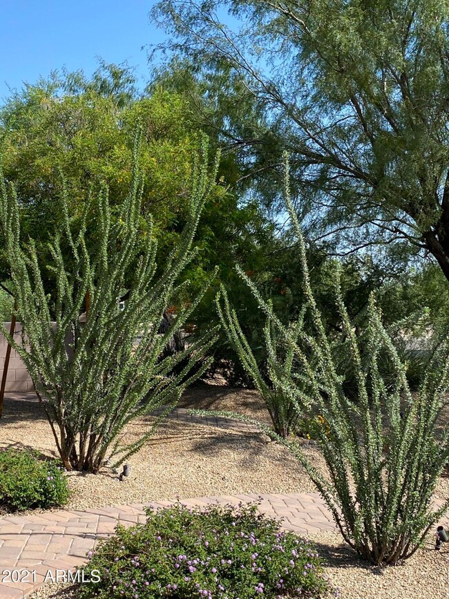 Gorgeous landscaping