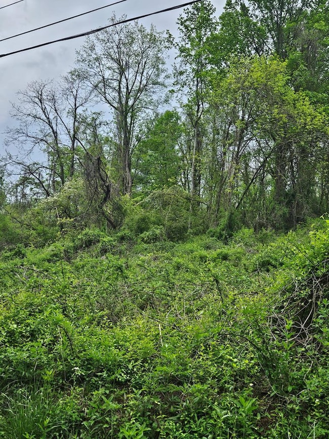 00 Euclid Ave, Marion, VA 24354 - photo 2