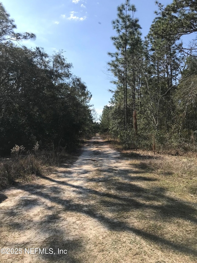 404 Mourning Dove Rd, Satsuma, FL 32189 - photo 2
