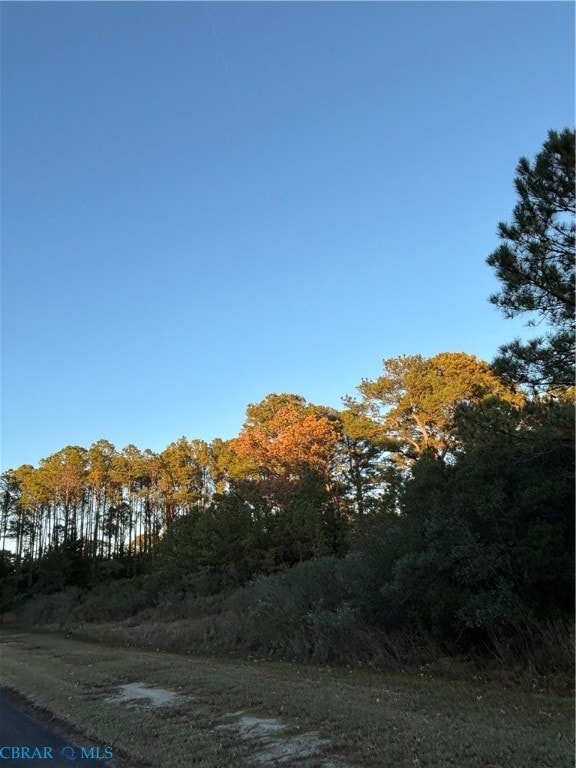 View of undeveloped land