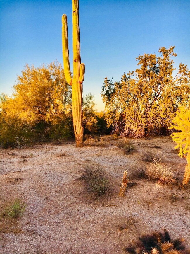 000 E Burro Ln unit 4&5, Florence, AZ 85132 - photo 3
