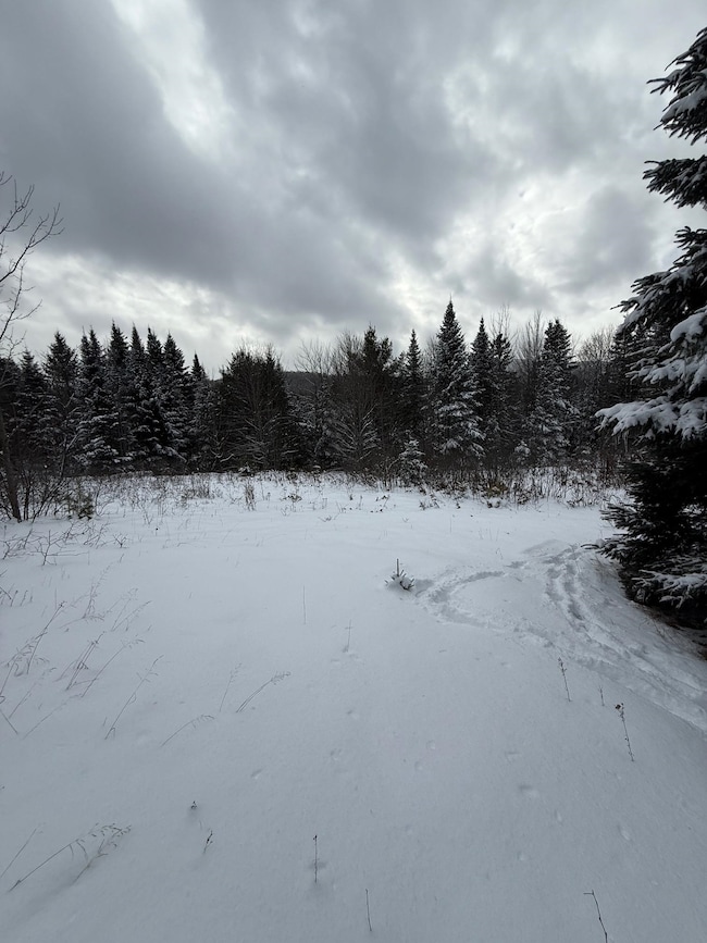 On U S Highway 2, Danville, VT 05828 - photo 3