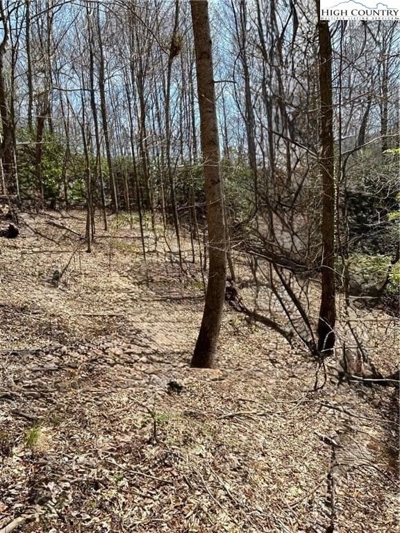 TBD Hwy 88 W, Creston, NC 28615 - photo 3