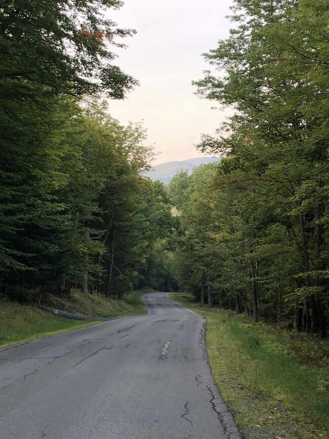 lot#5 Branch Hill Rd unit Lot 5, Readsboro, VT 05350 - photo 4