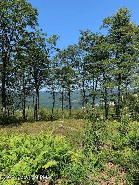 0 Flagstaff Rd unit PM-89080, Jim Thorpe, PA 18229 - photo 2