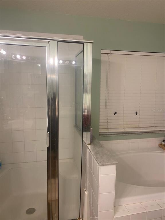 Master shower