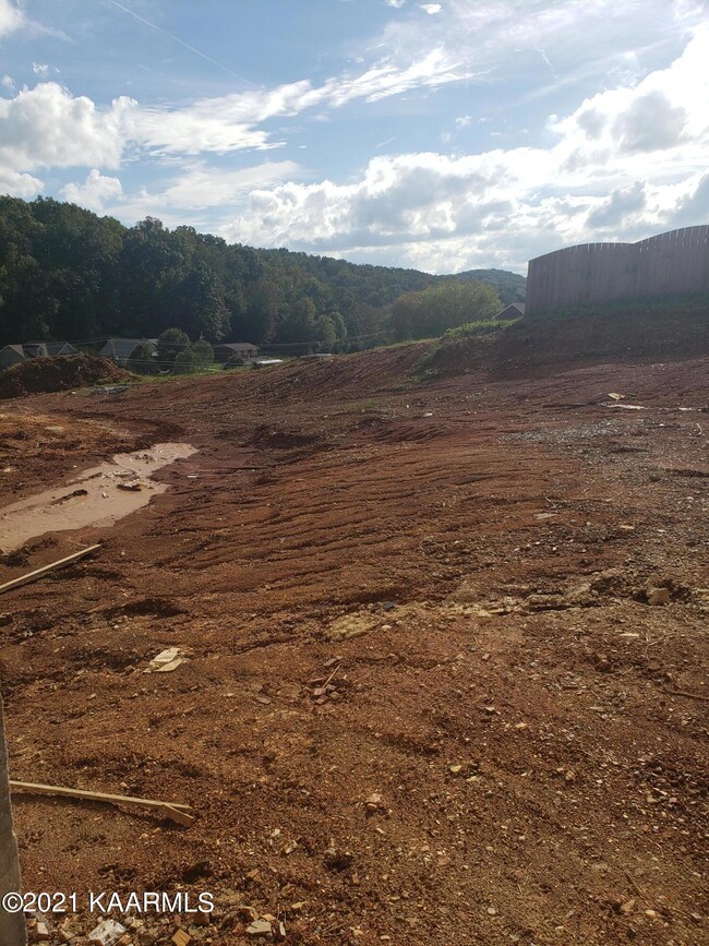 2338 Hickory Crest Ln, Knoxville, TN 37932 - photo 7