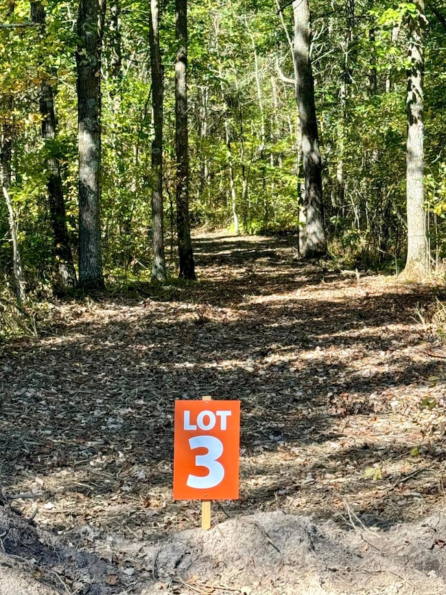 TBD3 Winter Creek Ct, Fairview Township, MN 56468 - photo 3