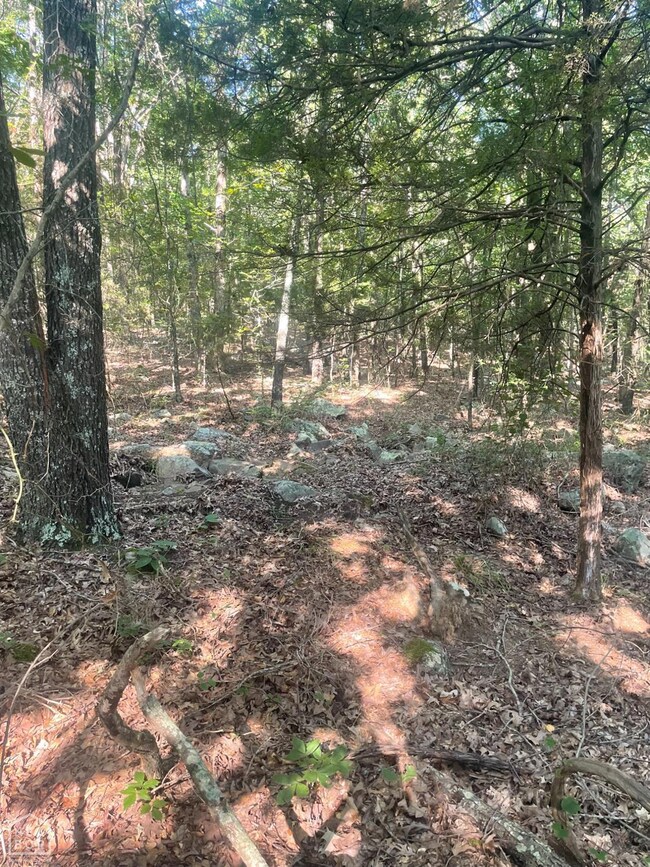 0 SE Rd unit 10123332, Bradford, AR 72020 - photo 6