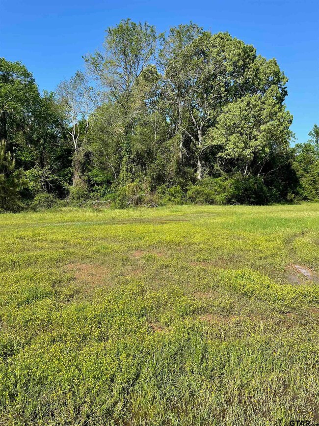 6001 County Road 233, Tyler, TX 75705 - photo 3