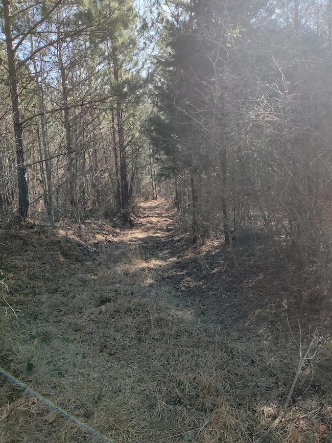 IMG_20250225_102850766_HDR