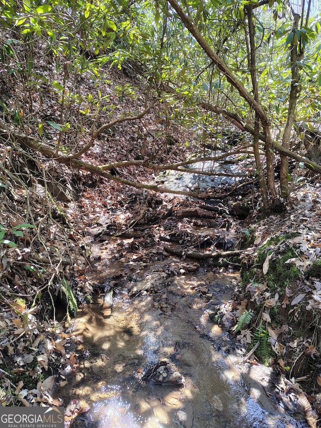 0 Ivy Ridge Way unit LOT 50 10487398, Clarkesville, GA 30523 - photo 6