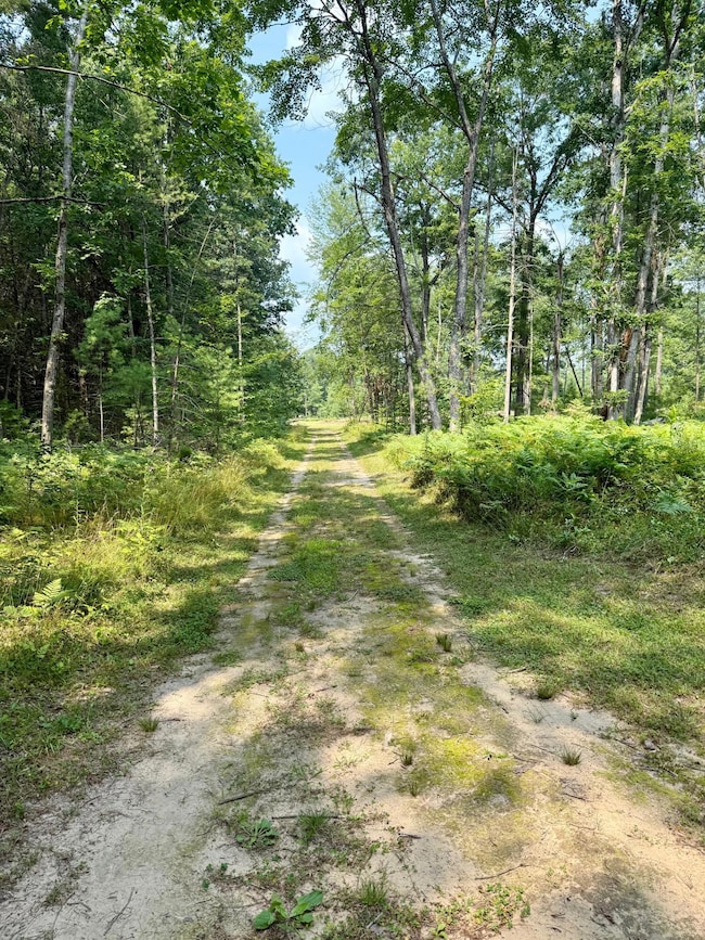 1 River Rd, Brethren, MI 49619 - photo 3