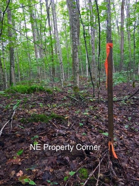 Myrtle Ln Property Corner