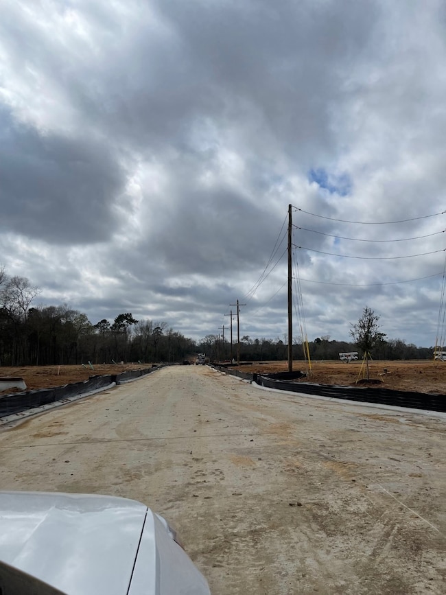 11639 Ruffian Dr, Willis, TX 77318 - photo 6