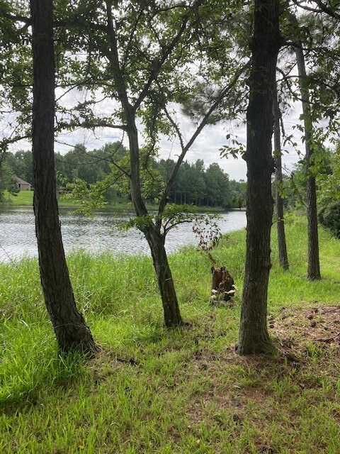 2534 Blue Lake Dr, Magnolia, TX 77354 - photo 6