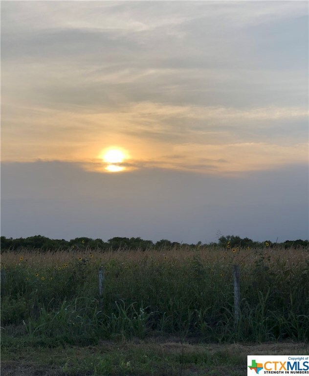 16861 State Highway 317, Moody, TX 76557 - photo 6