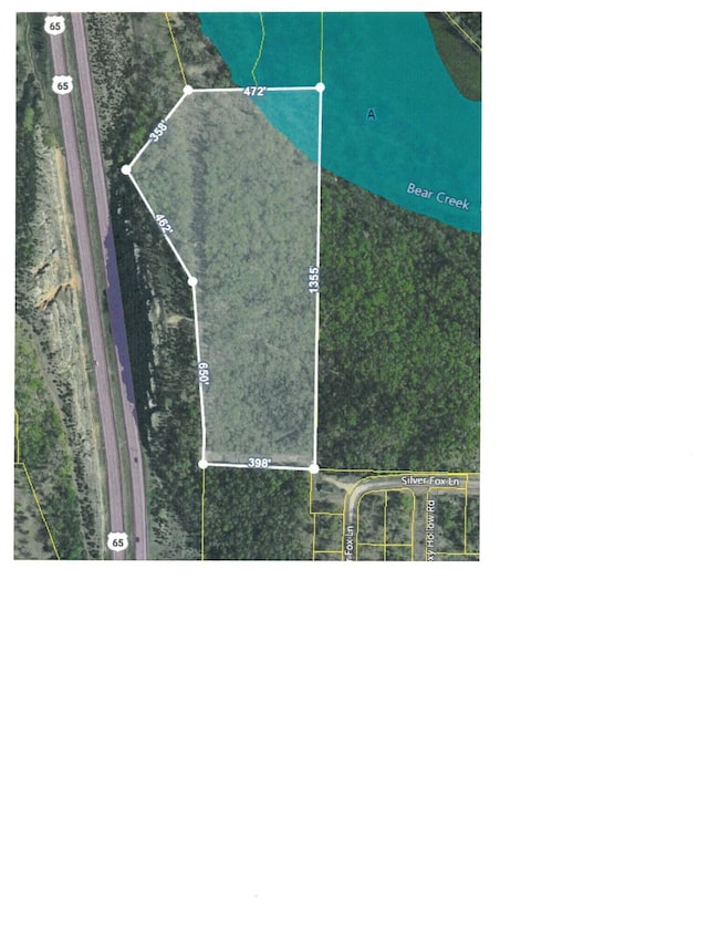 Aerial w Floodplain