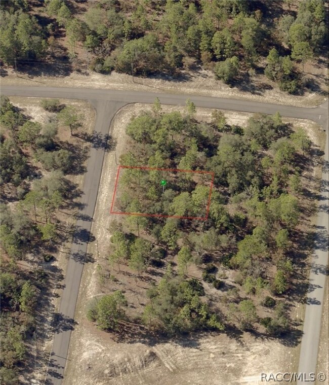 2881 W Huron Ln, Citrus Springs, FL 34433 - photo 2