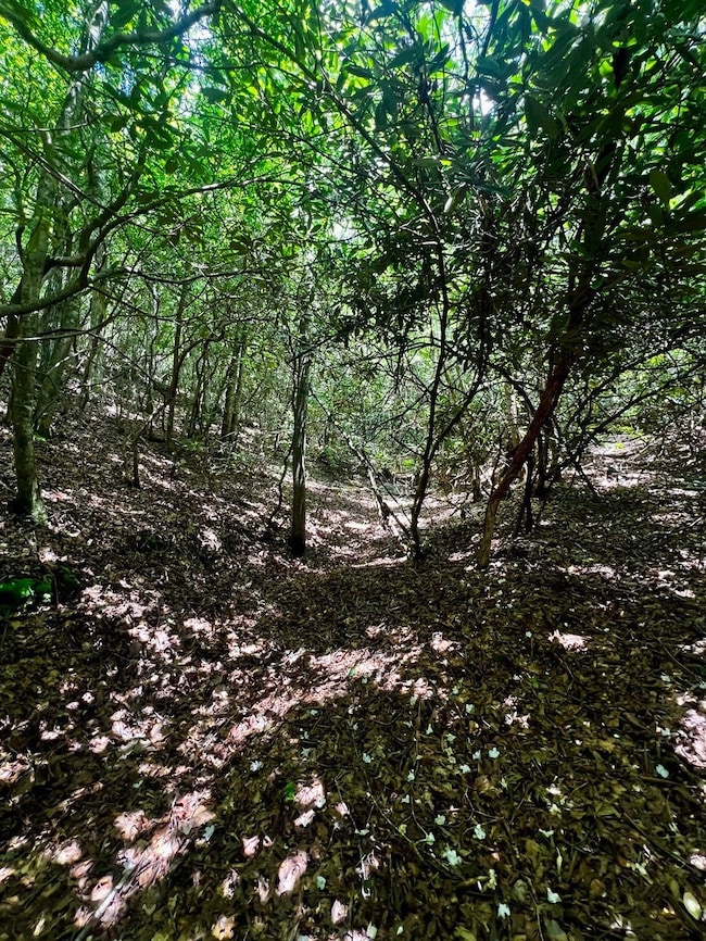 Tbd Indian Hills Drive Lot unit WP001, Murphy, NC 28906 - photo 4